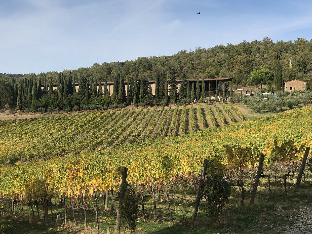 Privater Chianti Halbtagesausflug ab Florenz in Italien, Chianti Tour
, photo 3