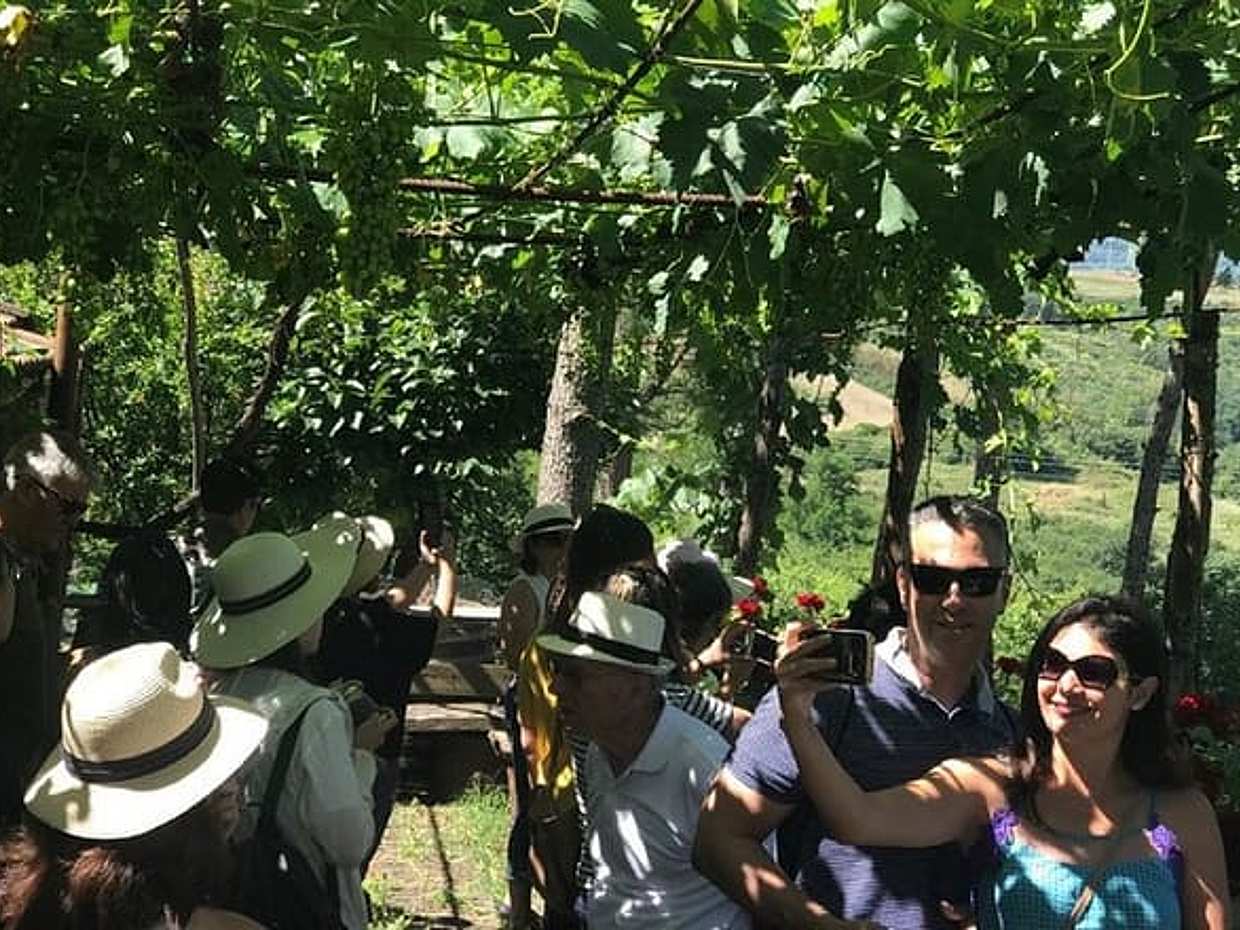 Cena tra i Vigneti in Italia, Siena, photo 5