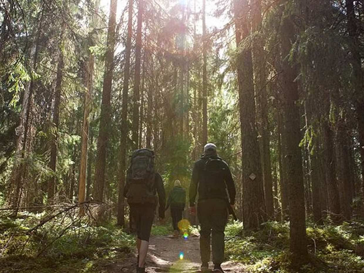 Tour privato del Parco Nazionale e del centro storico di Porvoo da Helsinki, photo 2
