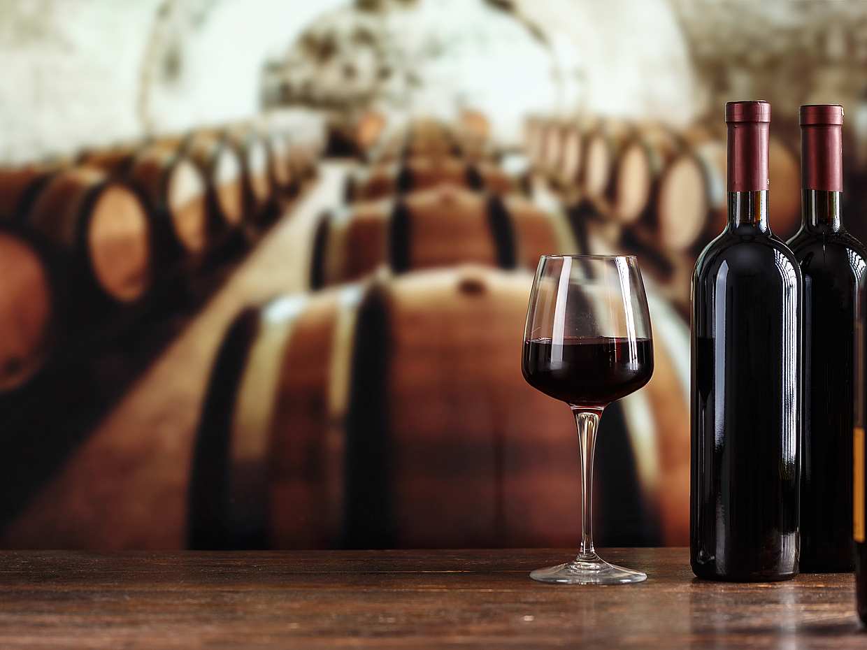 Wine Tasting and Visit to Ripalte Design Wine Cellar in Toscana, Italy, photo 5