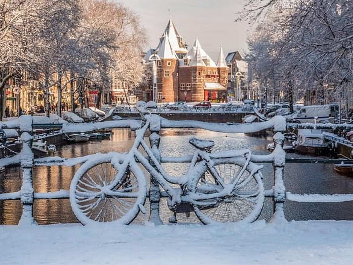 Amsterdam Light Festival Winter Walk with Stroopwafel Workshop in Netherlands