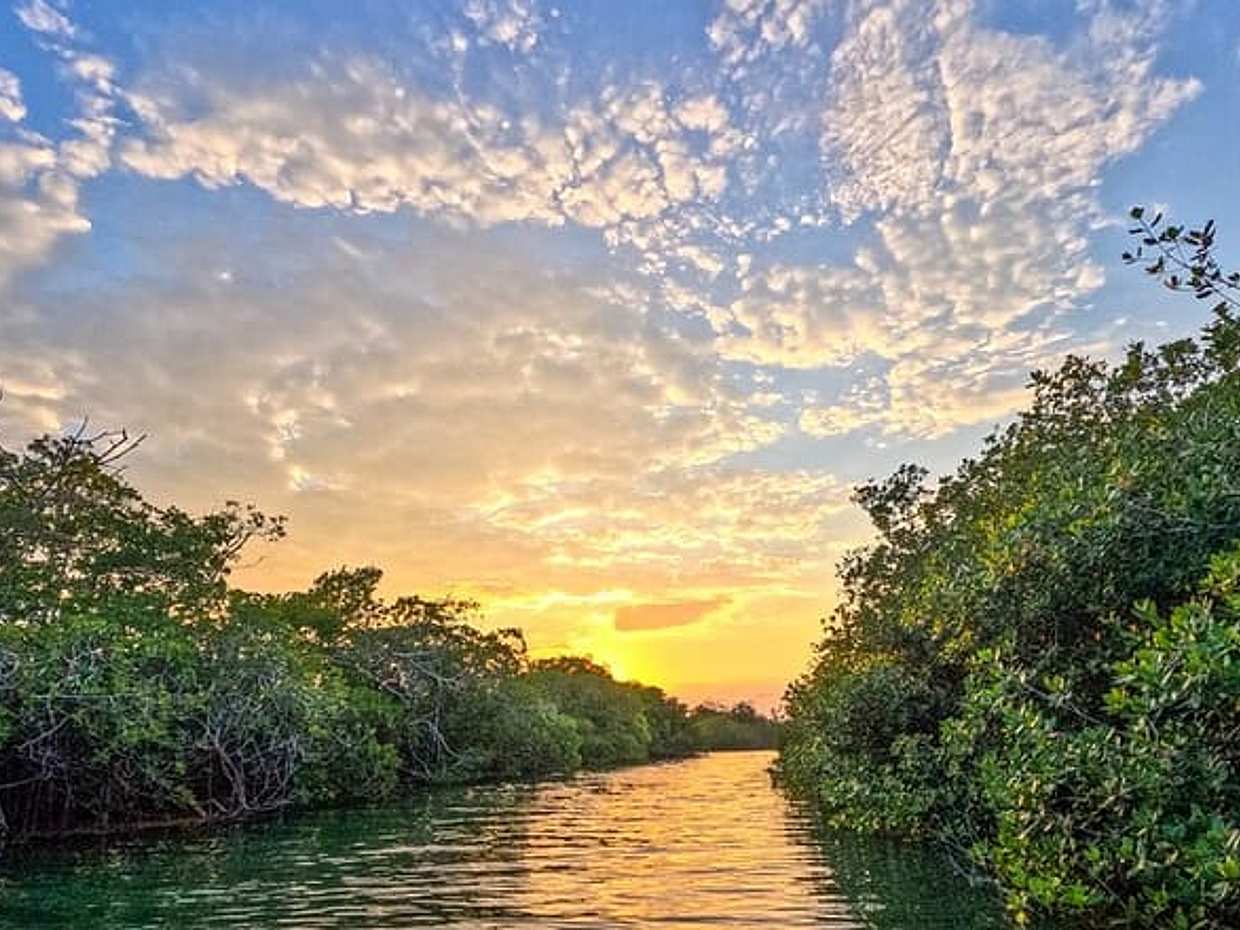 Sian Ka'an Sunset Boat Tour, photo 4