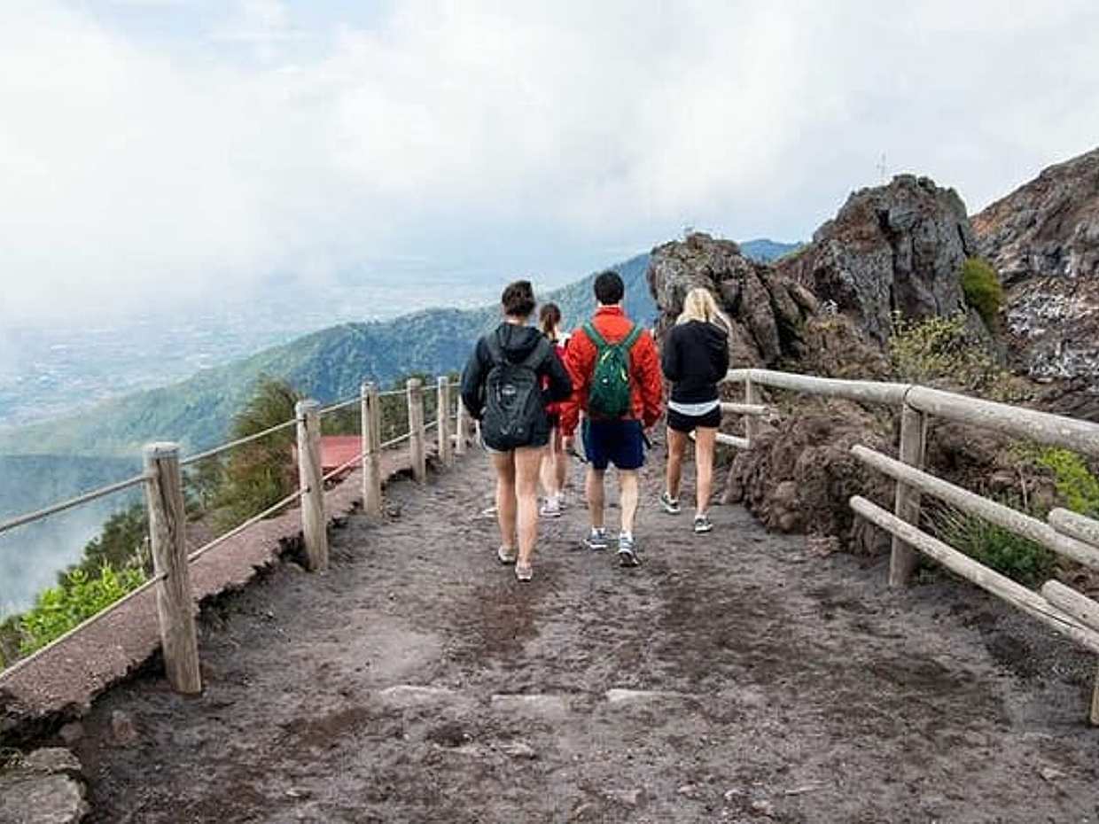 Private Half-Day Sightseeing Tour of Vesuvius National Park, photo 3