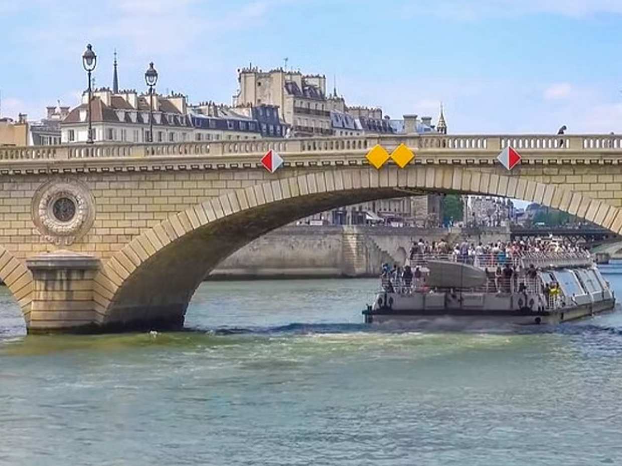 Paris Half Day Tour & Cruise, Private Guide & Louvre Entrance in France, photo 3
