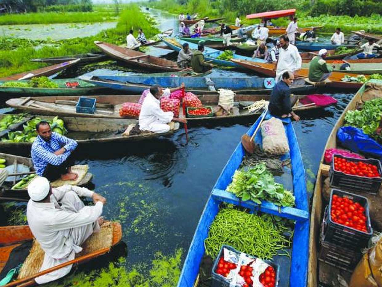 Online Shikara Ride on Dal Lake., photo 4