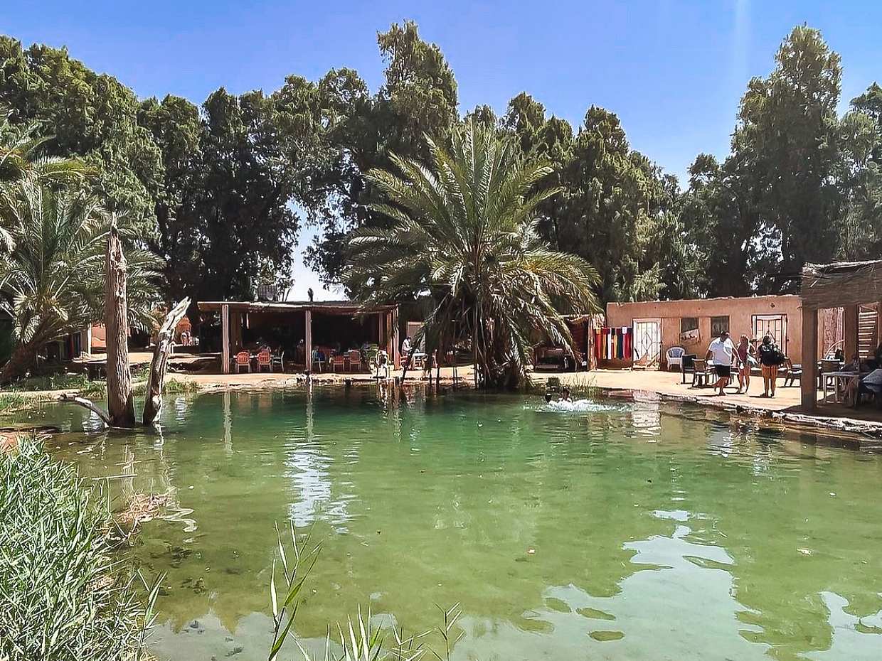Ksar Ghilane Oasis, Sahara and Oasis Tour in Tunisia, Djerba Midun, photo 4