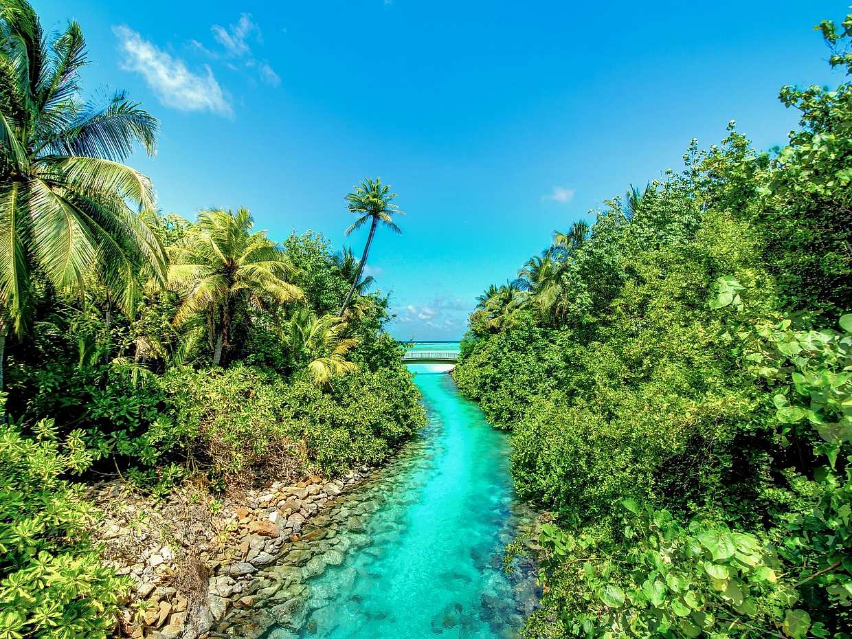 An Insight into Maldives Marine Conservation in Malé