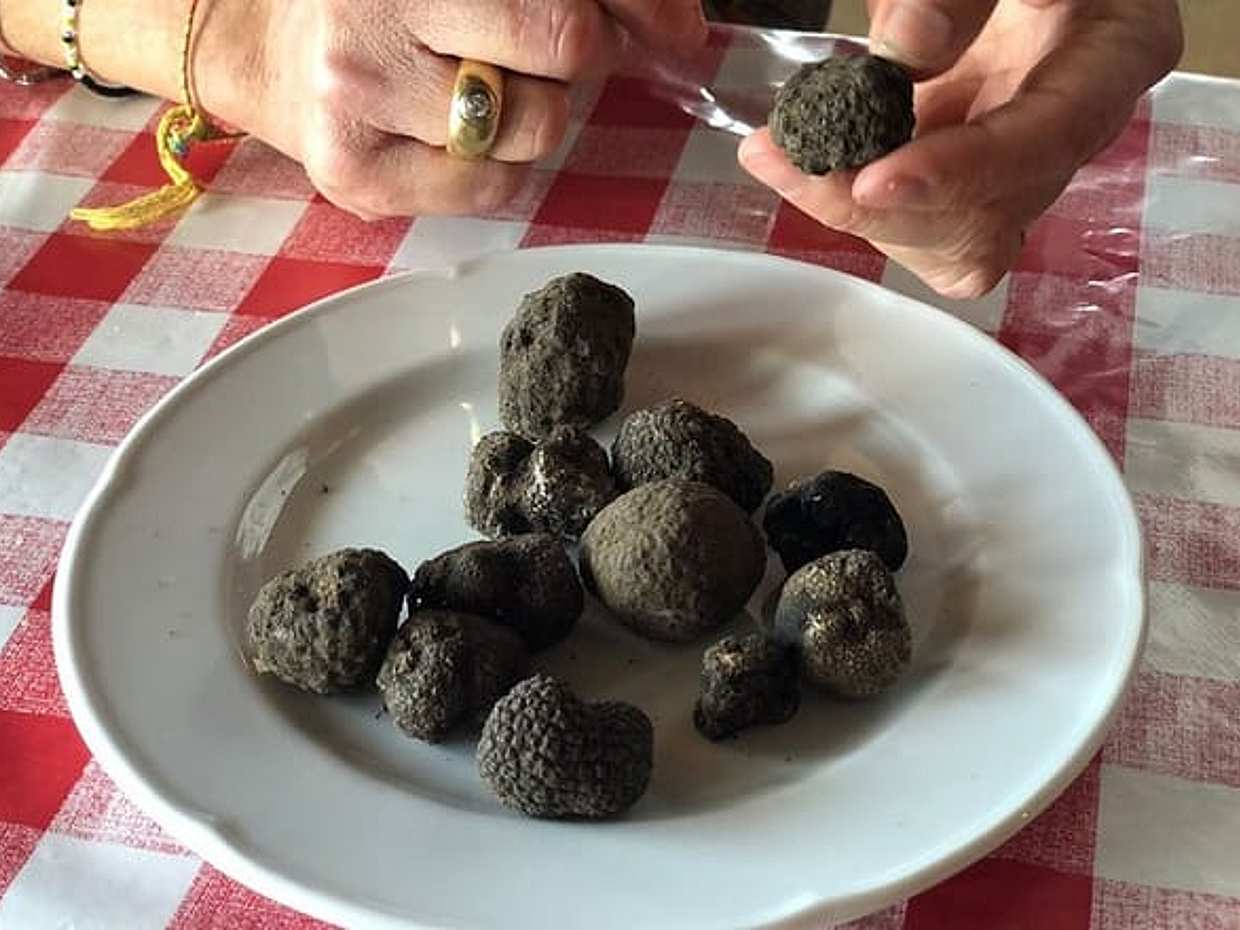 Exclusive Private Truffle Hunt Experience with Lunch & Wine Tasting from Florence, photo 5