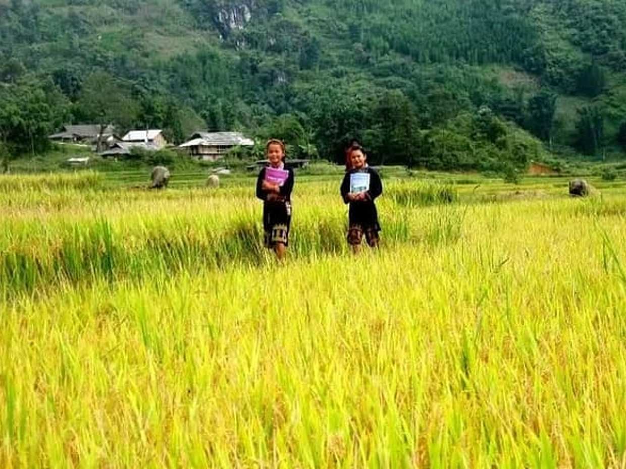 2-Days Overnight Sapa Trekking Tour by Bus from Hanoi, photo 3