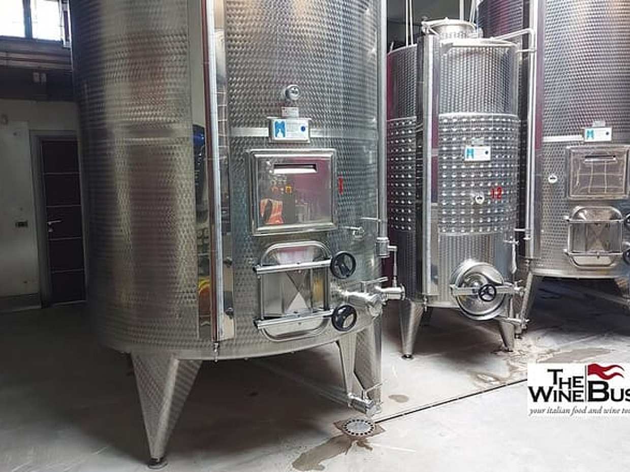 Private Irpinia Wine Tour from NAPLES with sommelier, photo 2