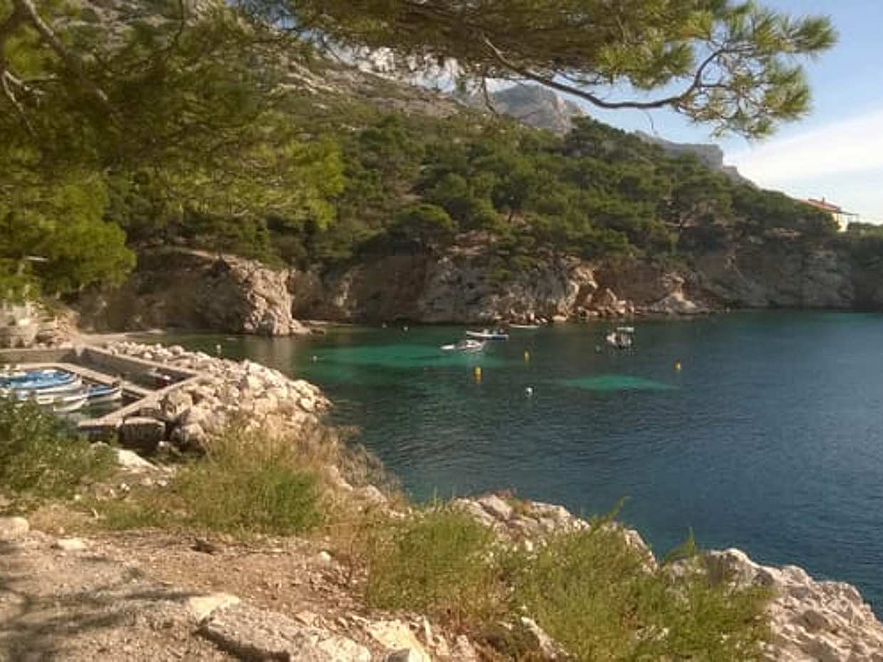 Hike with a Calanque expert, photo 4