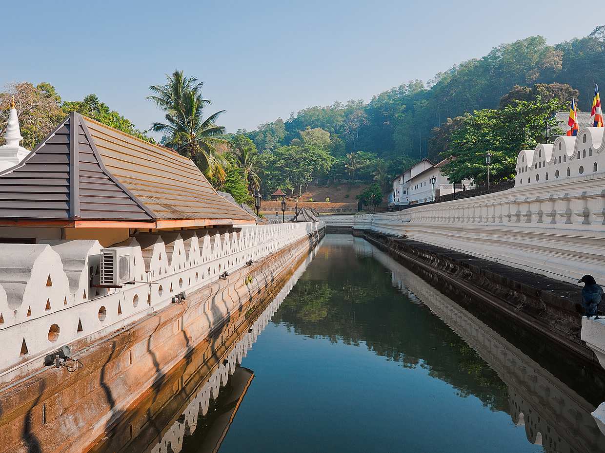 7-tägige Tour durch Sri Lanka
