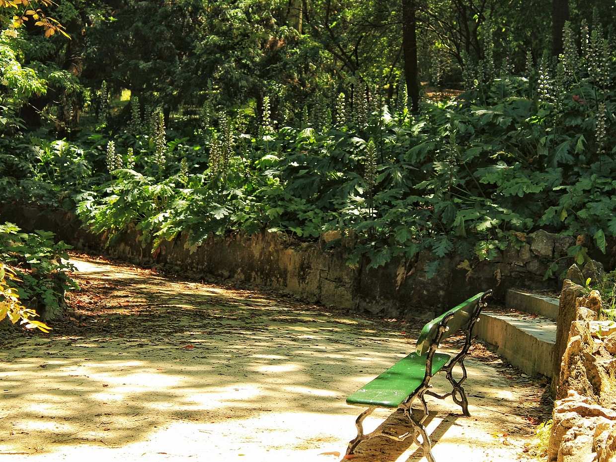 Visite privée de Principe Real et des jardins botaniques au Portugal, Lisbonne.
, photo 2
