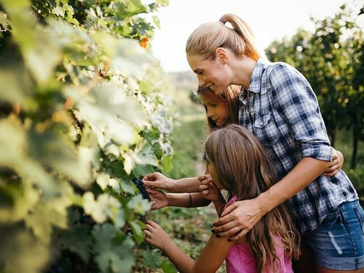 Private Chianti Wine Tasting & Scenic Florence Drive – Half-Day Tour from Florence, photo 4