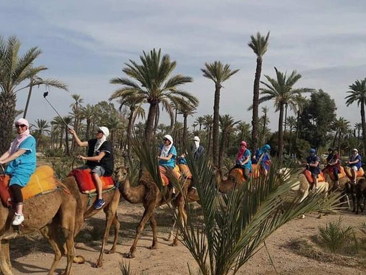 Authentic 1-Hour Camel Ride Adventure, photo 2