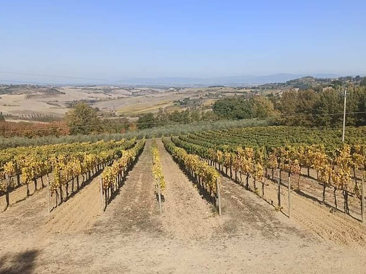 Discover Tuscany: Siena, Chianti & Brunello Tasting in Montalcino, photo 3