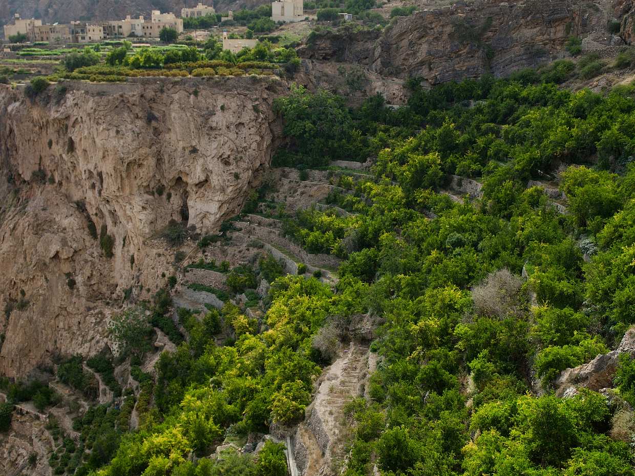Jebel Akhdar & Nizwa Delights: Journey to the Clouds in Oman, Muscat, photo 2