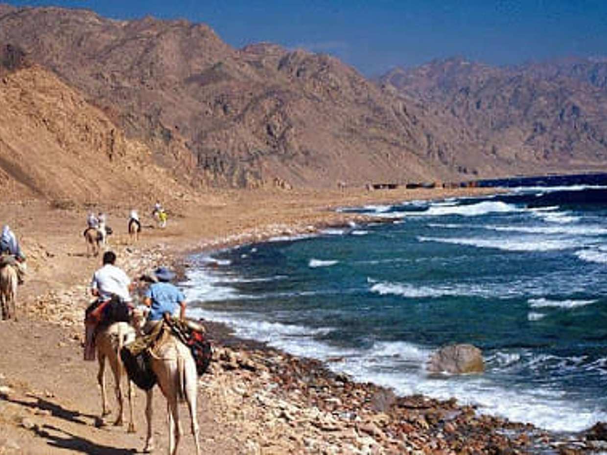 Snorkeling and Camel Ride with Lunch in Dahab from Sharm El Sheikh, photo 5
