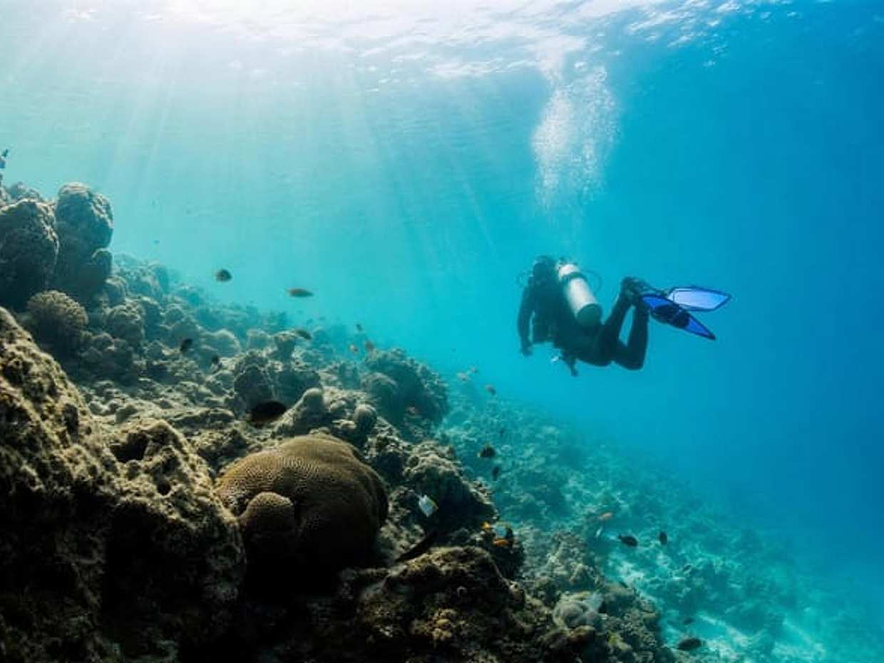 Scuba Diving Tour Fujairah