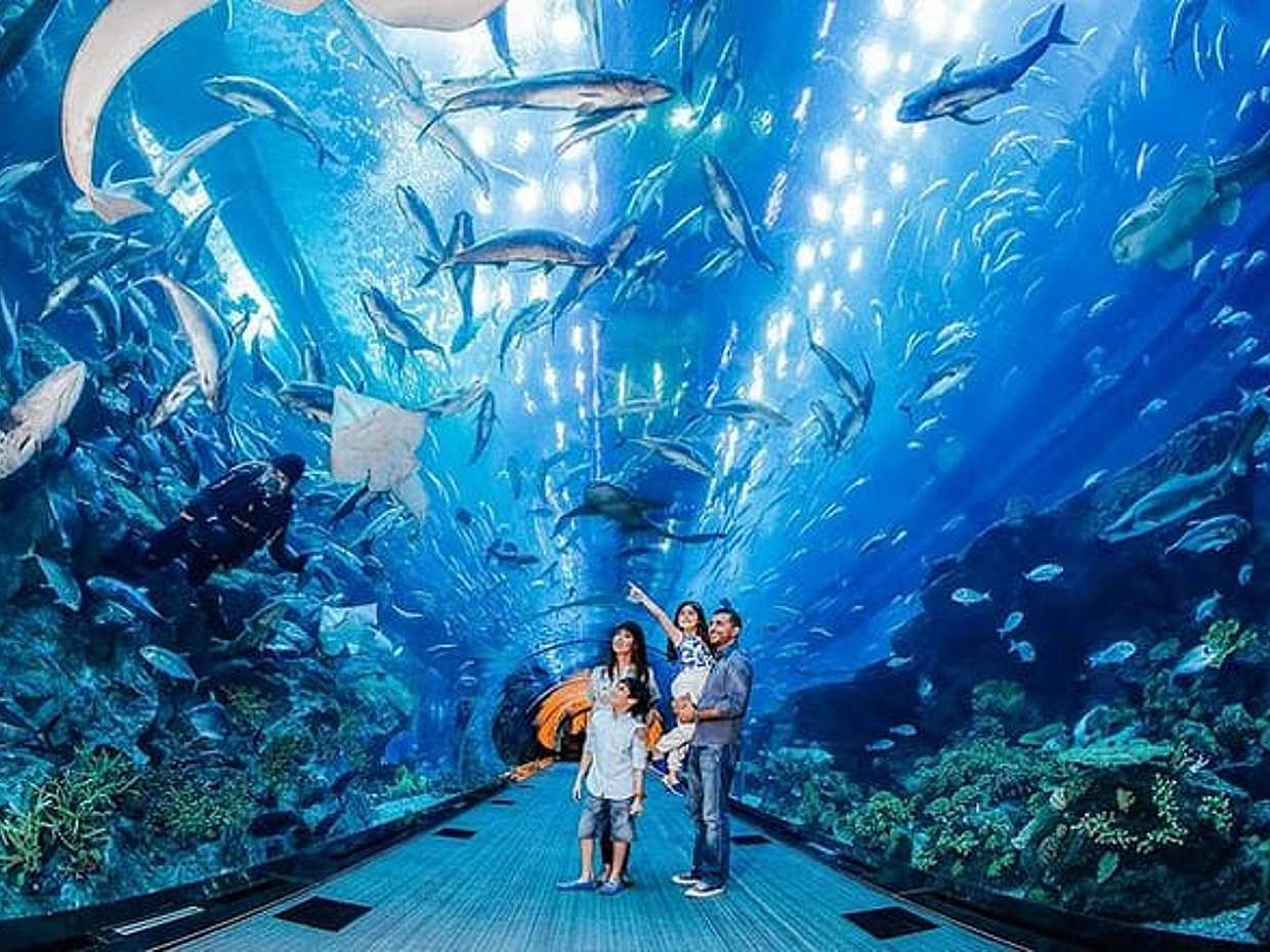 VIP Dubai Aquarium