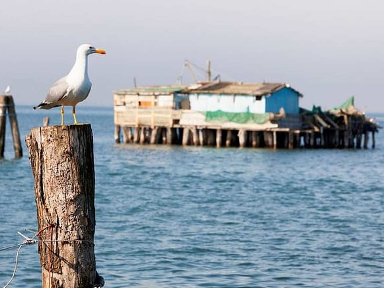 Venice Bike Hopping Tour: Lido & Pellestrina