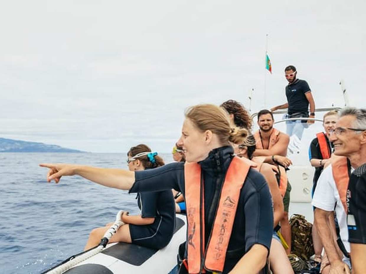 Dolphins/Whales Experience in Portugal, Funchal