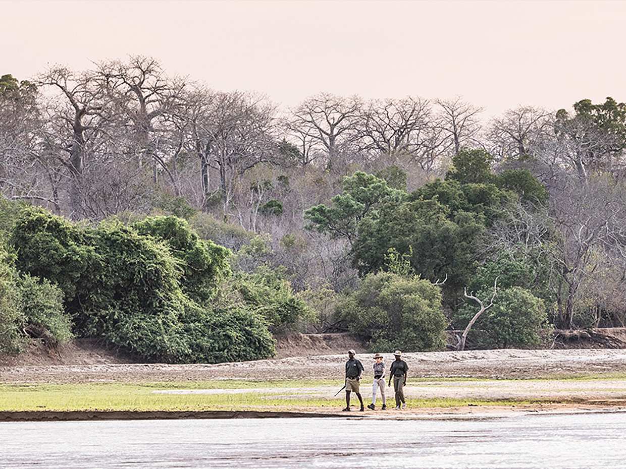 From Zanzibar: Selous Safari 2-day Private Tour with Flight in Tanzania, photo 4