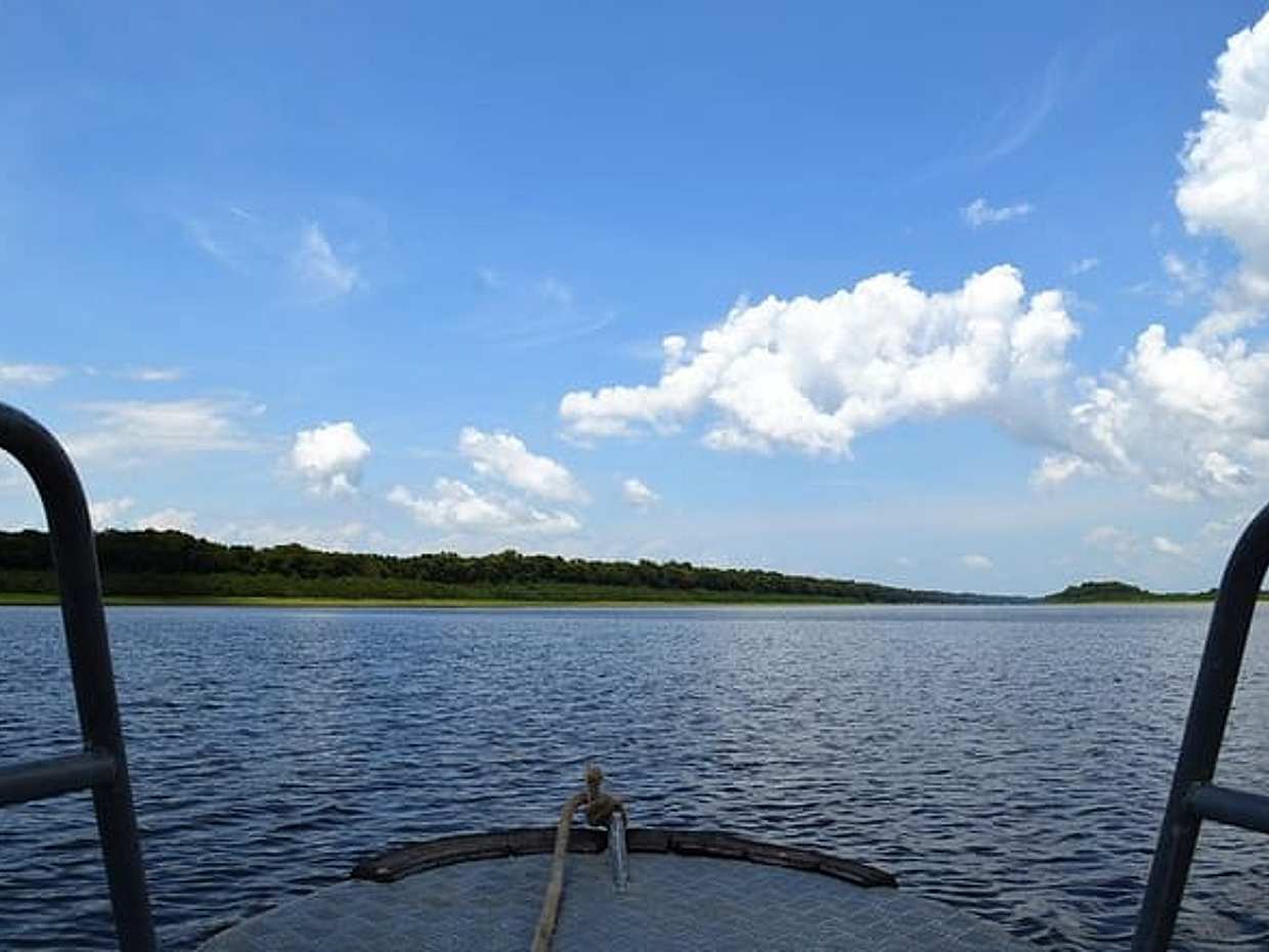 "Excursão de 8 horas pela Selva Amazônica e Arquipélago de Anavilhanas no Brasil, Manaus", photo 5