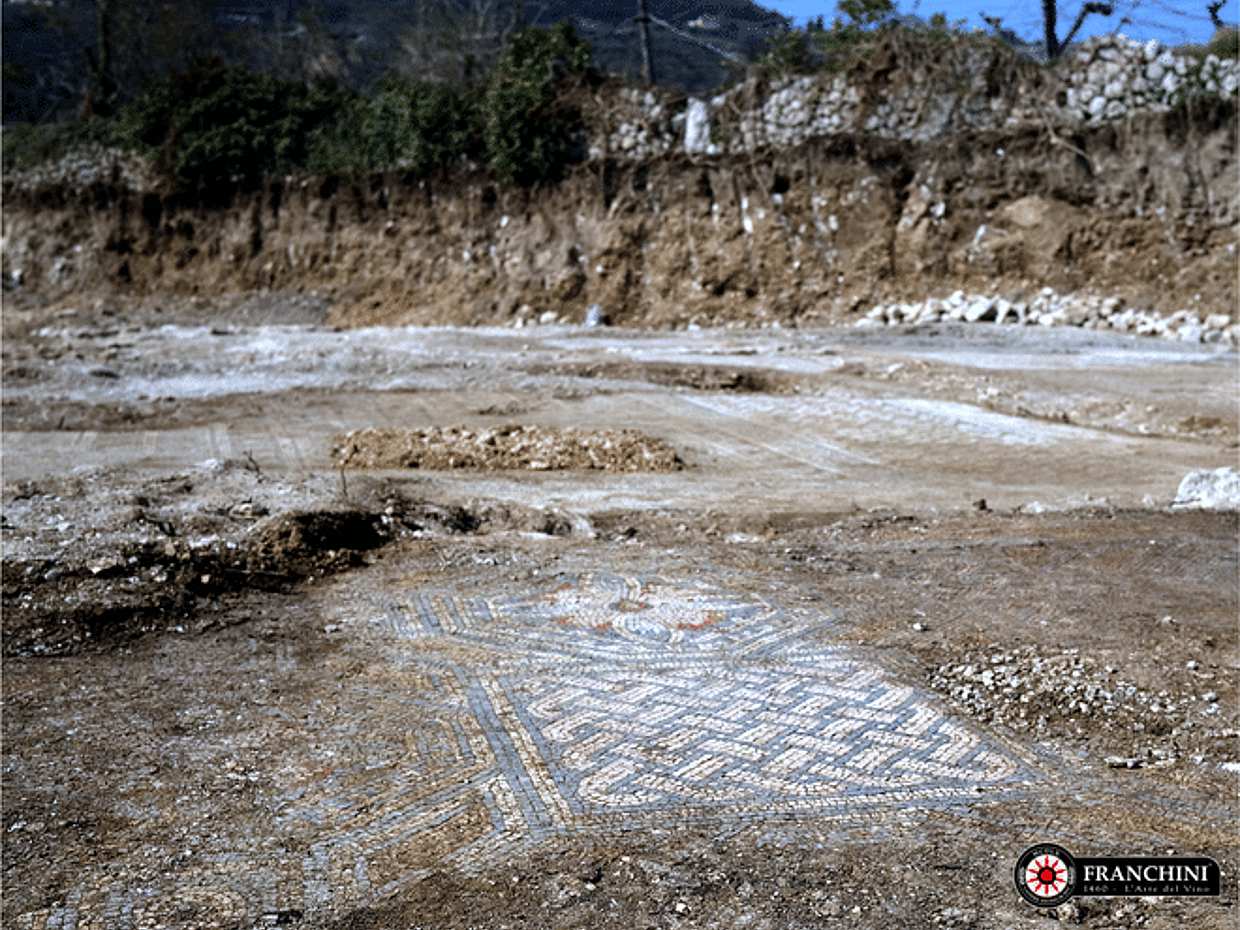 Roman Villa Mosaics Tour & Valpolicella Wine Tasting, photo 5