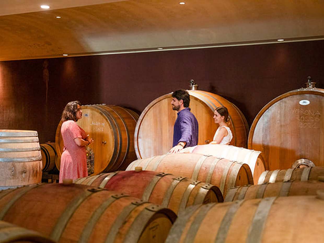Bardolino Wine Experience, photo 4