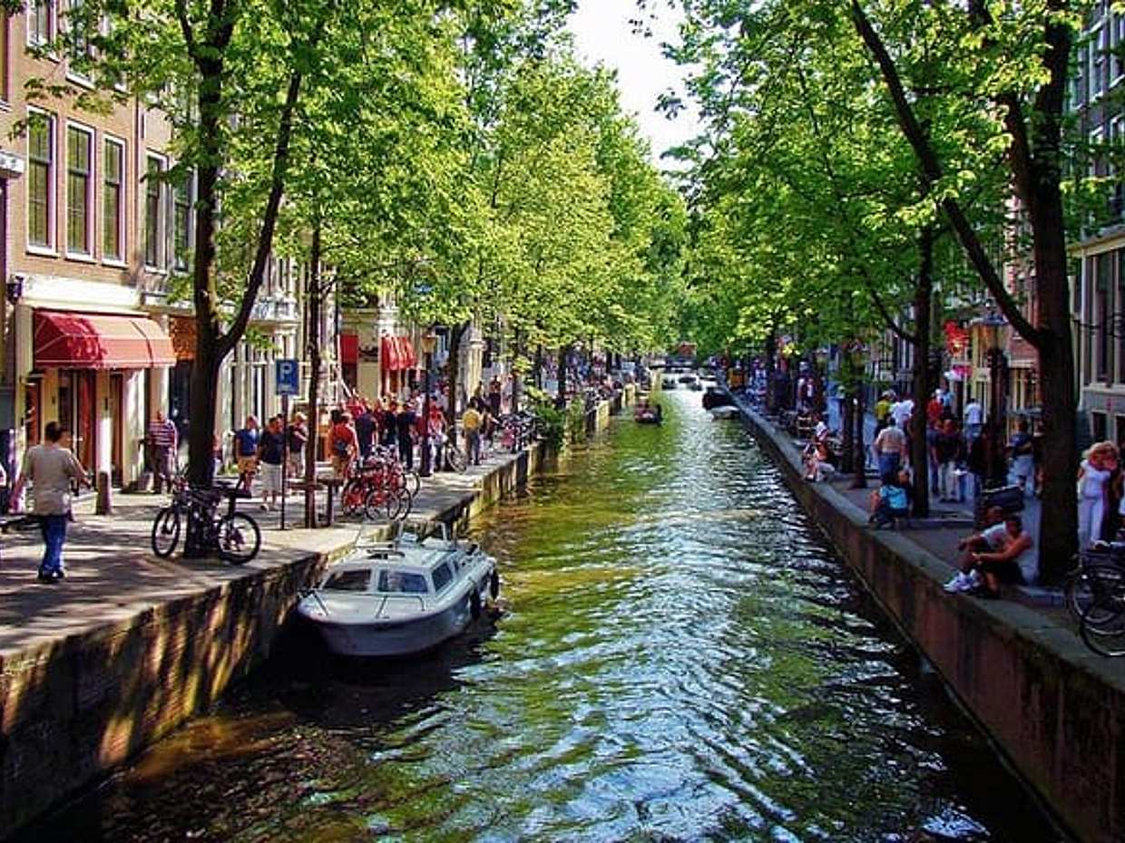 Private tour :Traditional Holland and Amsterdam city tour from Brussels Full day, photo 3