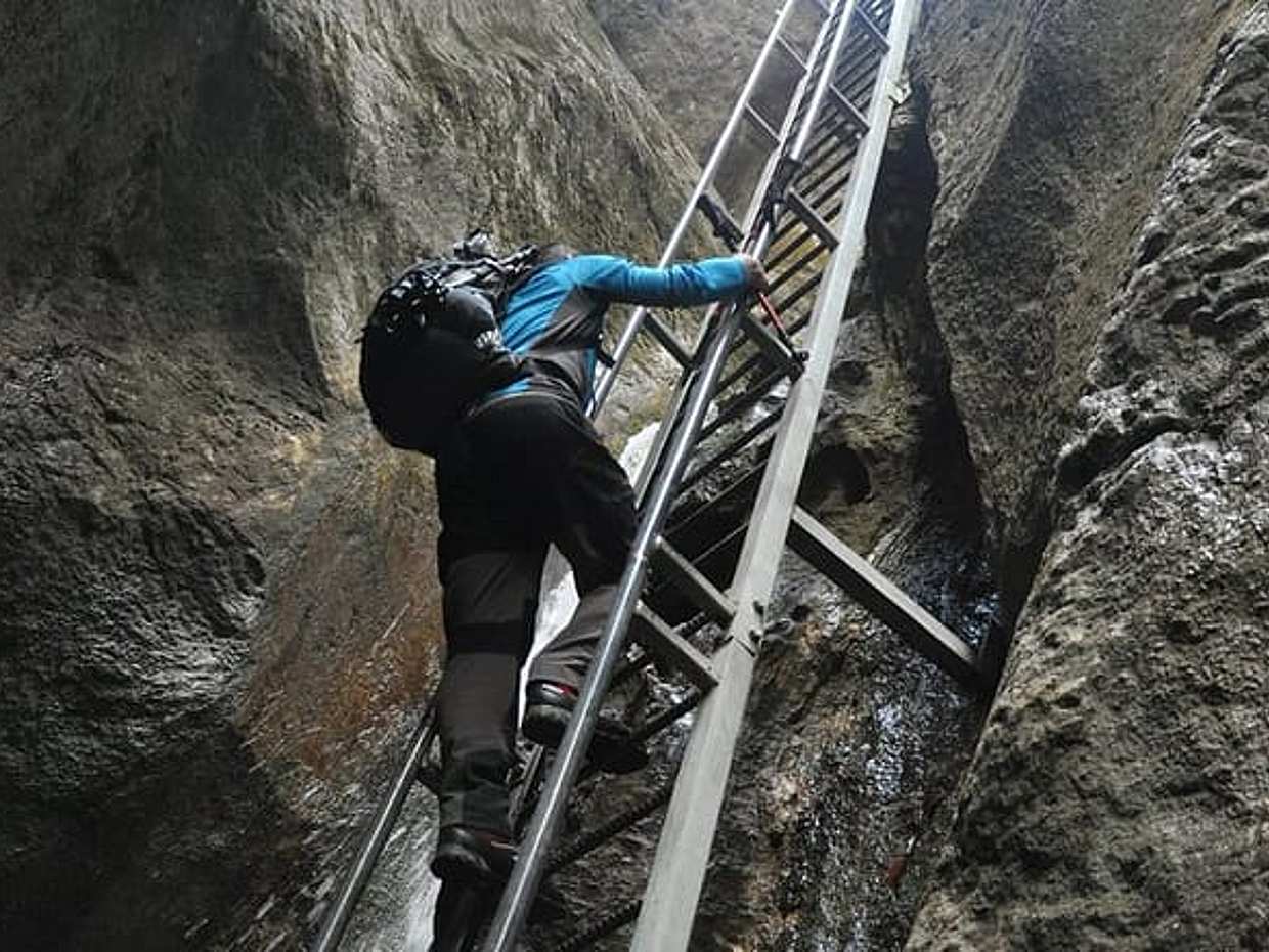 Celodenní výlet pro malé skupiny do epického kaňonu 7 žebříků z Brašova v Rumunsku, Brašov