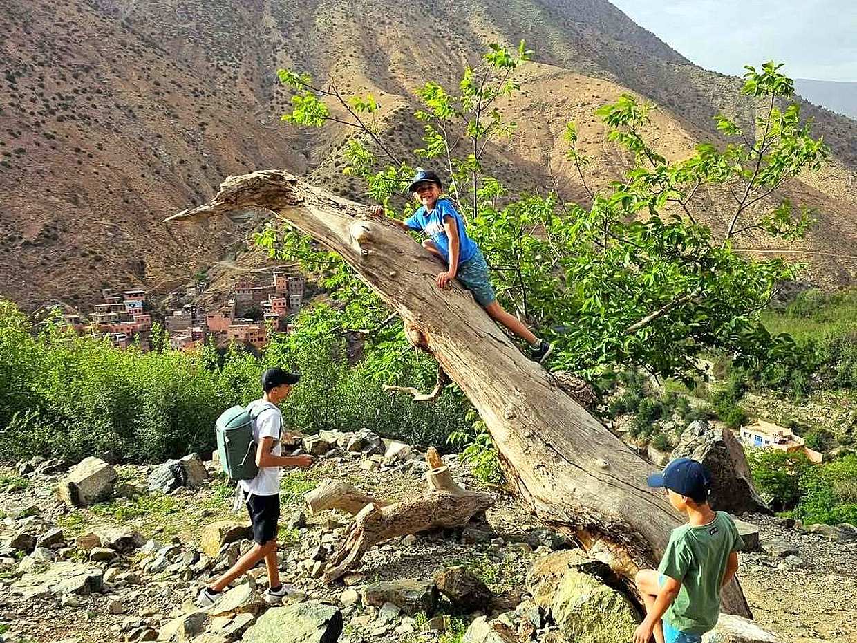 Marrakech: Atlas Mountains, Ourika Valley, Waterfall with Lunch in Morocco, Marrakesh