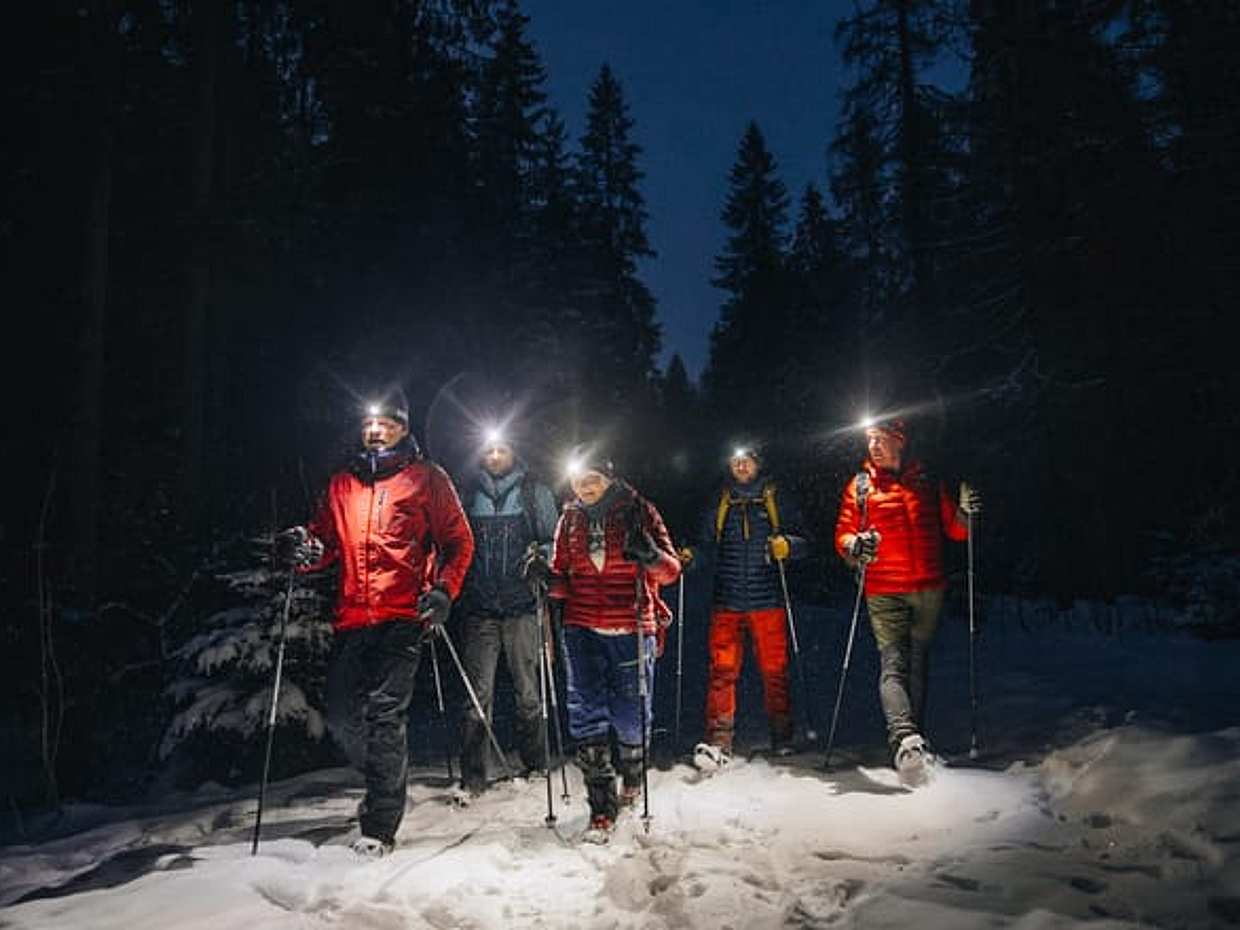 Private Mystery Night Walk with Headlamps in Norway, Oslo