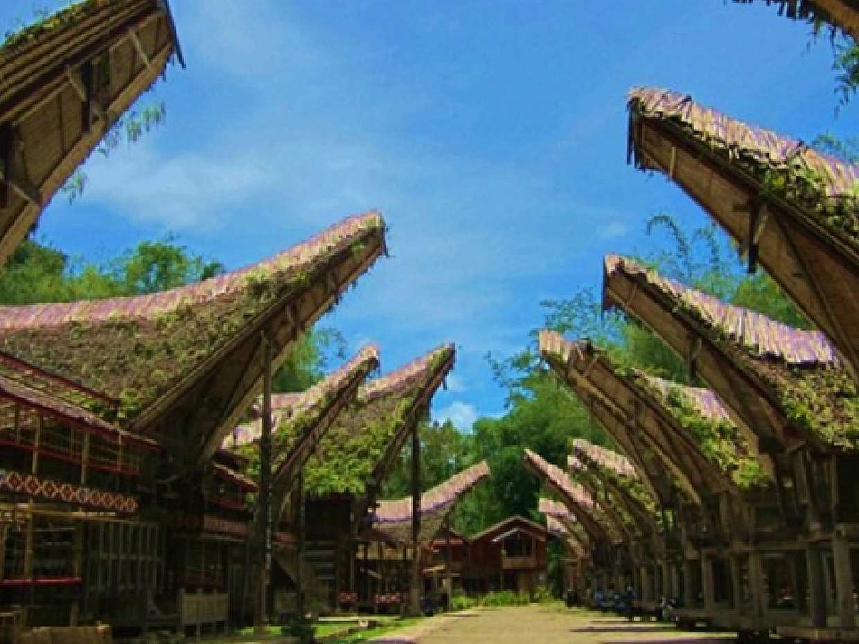 Sulawesi: Tour de 4 días por Toraja desde Makassar para descubrir el espíritu atemporal y las místicas tierras altas, Indonesia., photo 5