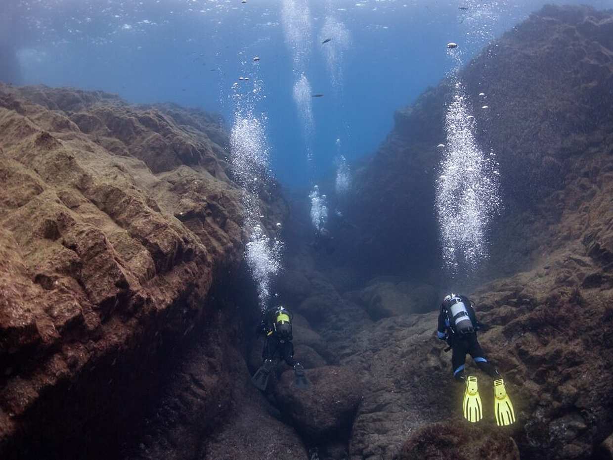 Açores: Mergulho na Ilha do Pico em Portugal.
, photo 5