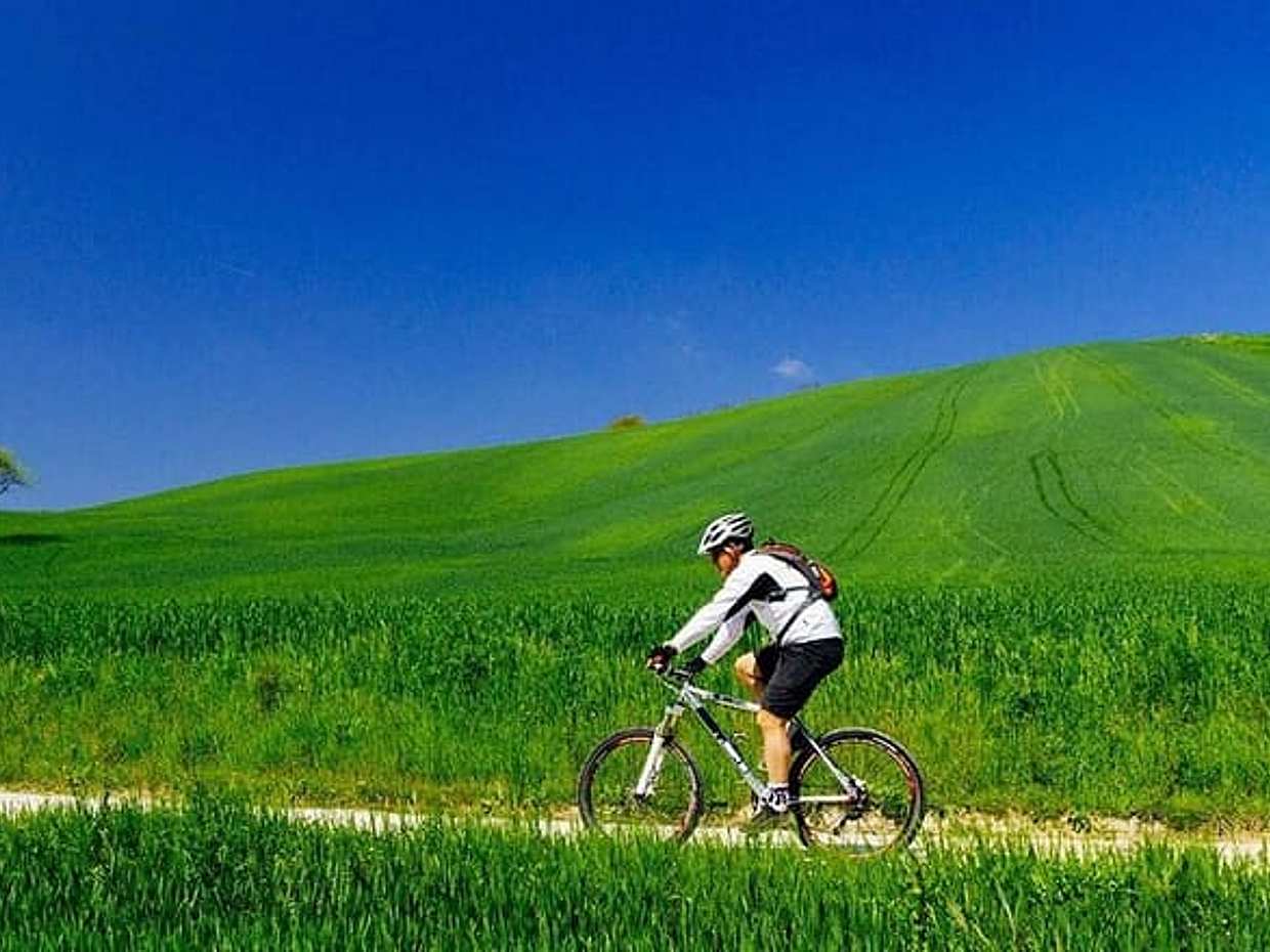 Recorrido en bicicleta por Chianti desde Florencia, Italia, photo 4