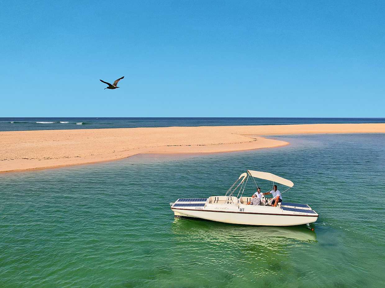 Observação de aves na Ria Formosa num Barco Solar a partir de Faro, em Portugal.
