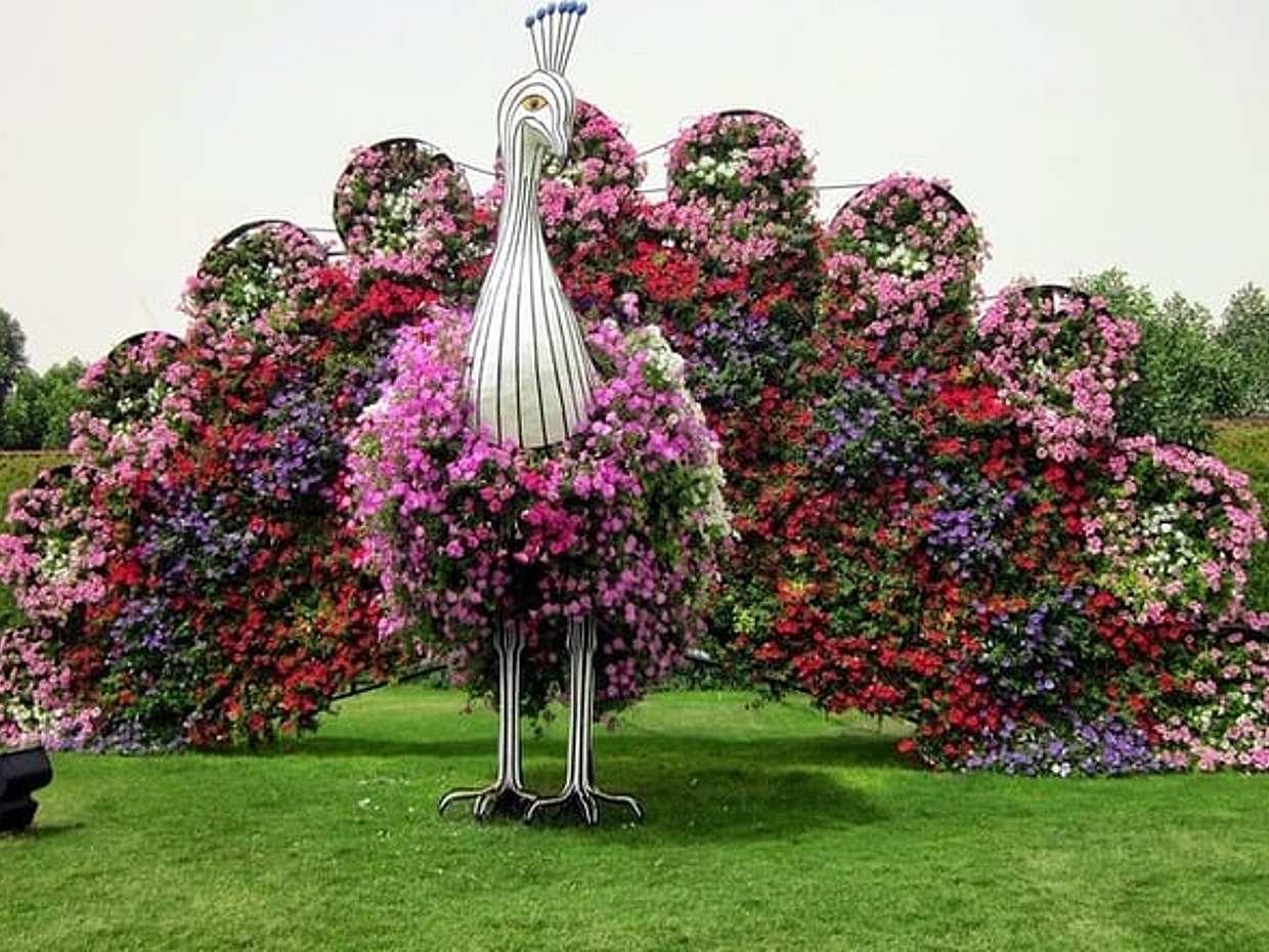 Входные билеты в Dubai Miracle Garden в Объединенных Арабских Эмиратах, Шарджа, photo 5