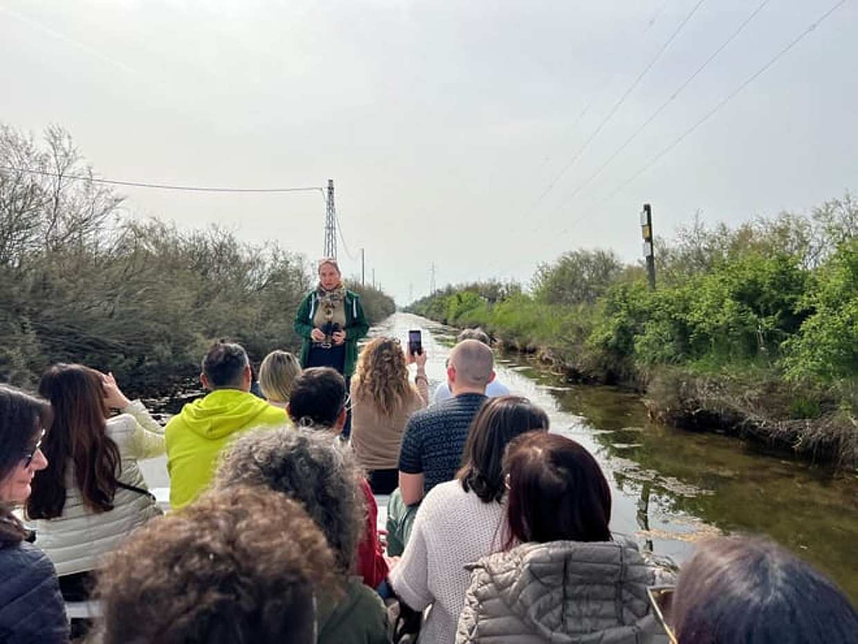 Boat tour in the Cervia Salt Pans: birdwatching among water mirrors and trails, photo 4
