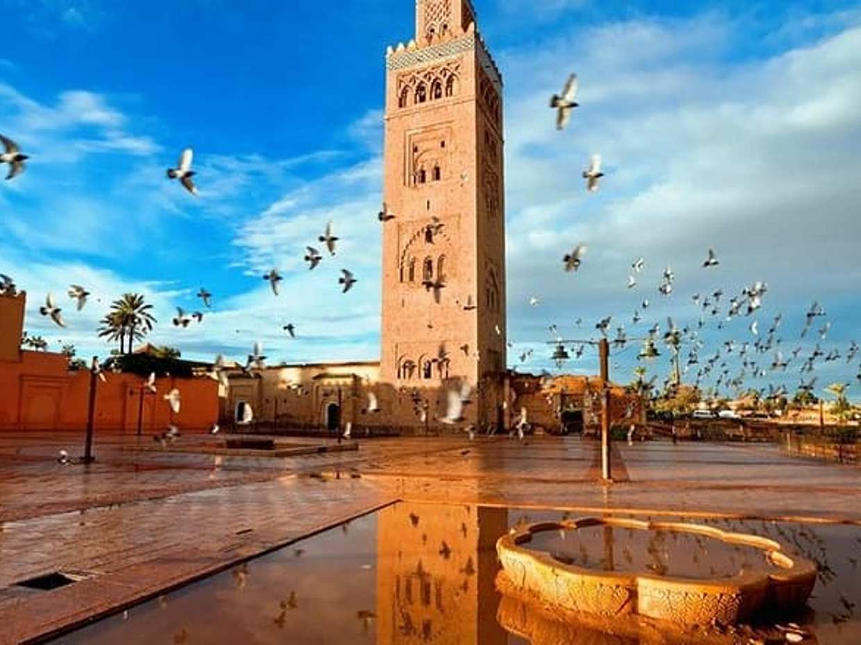 Marrakech Sightseeing Tour, photo 4