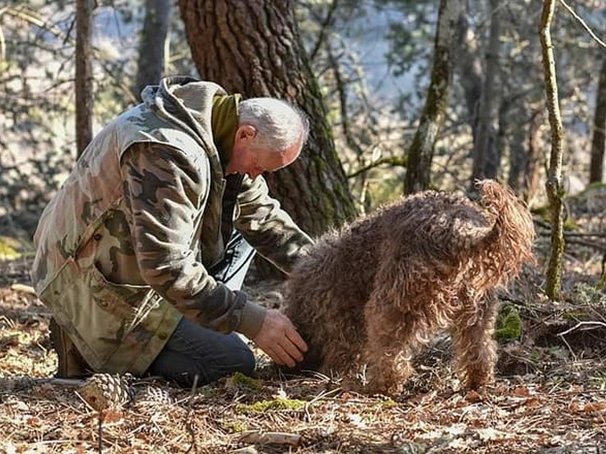 Truffle Hunting and Amarone wine tasting, photo 2