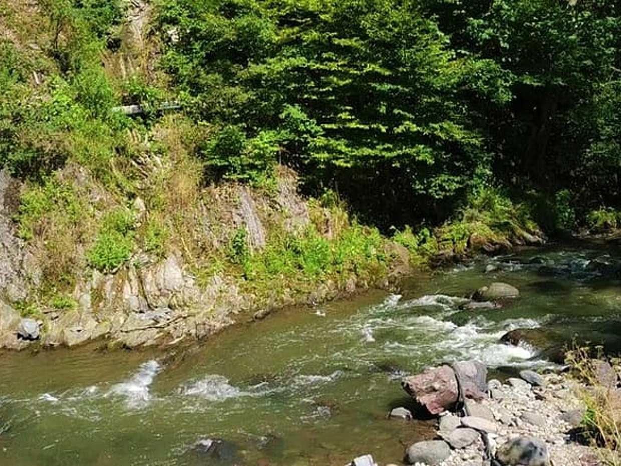 Georgia Wellness Escape: Paquete de 8 días/7 noches, Tiflis, photo 2