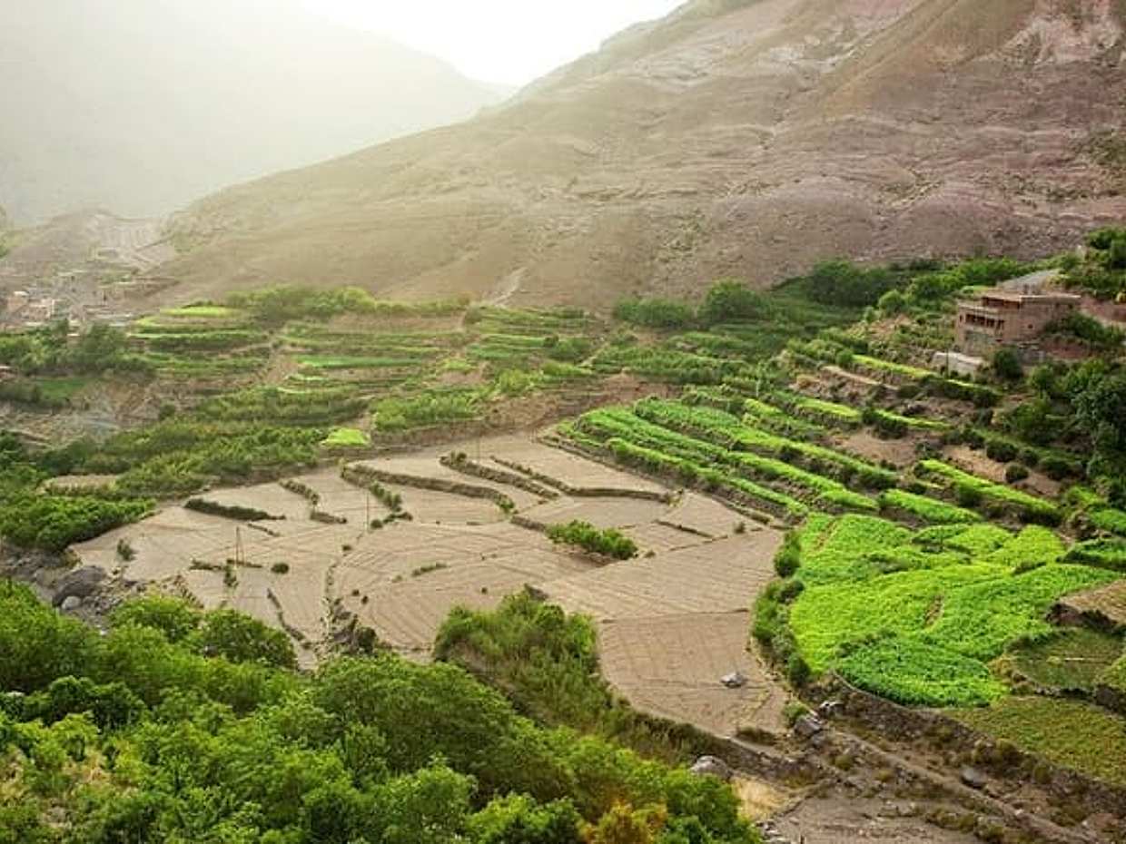 Atlas Mountains Day Trip with Camel Ride (Imlil), photo 5