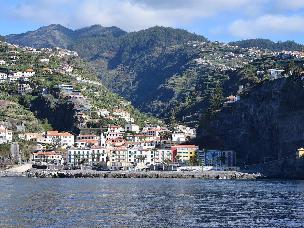 Whales & Dolphins Watching Cruise from Calheta, Madeira in Portugal, Estreito da Calheta, photo 5