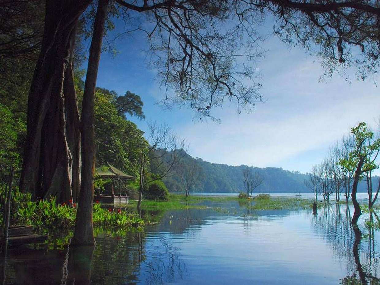 Trekking dans la jungle de Bali, photo 3