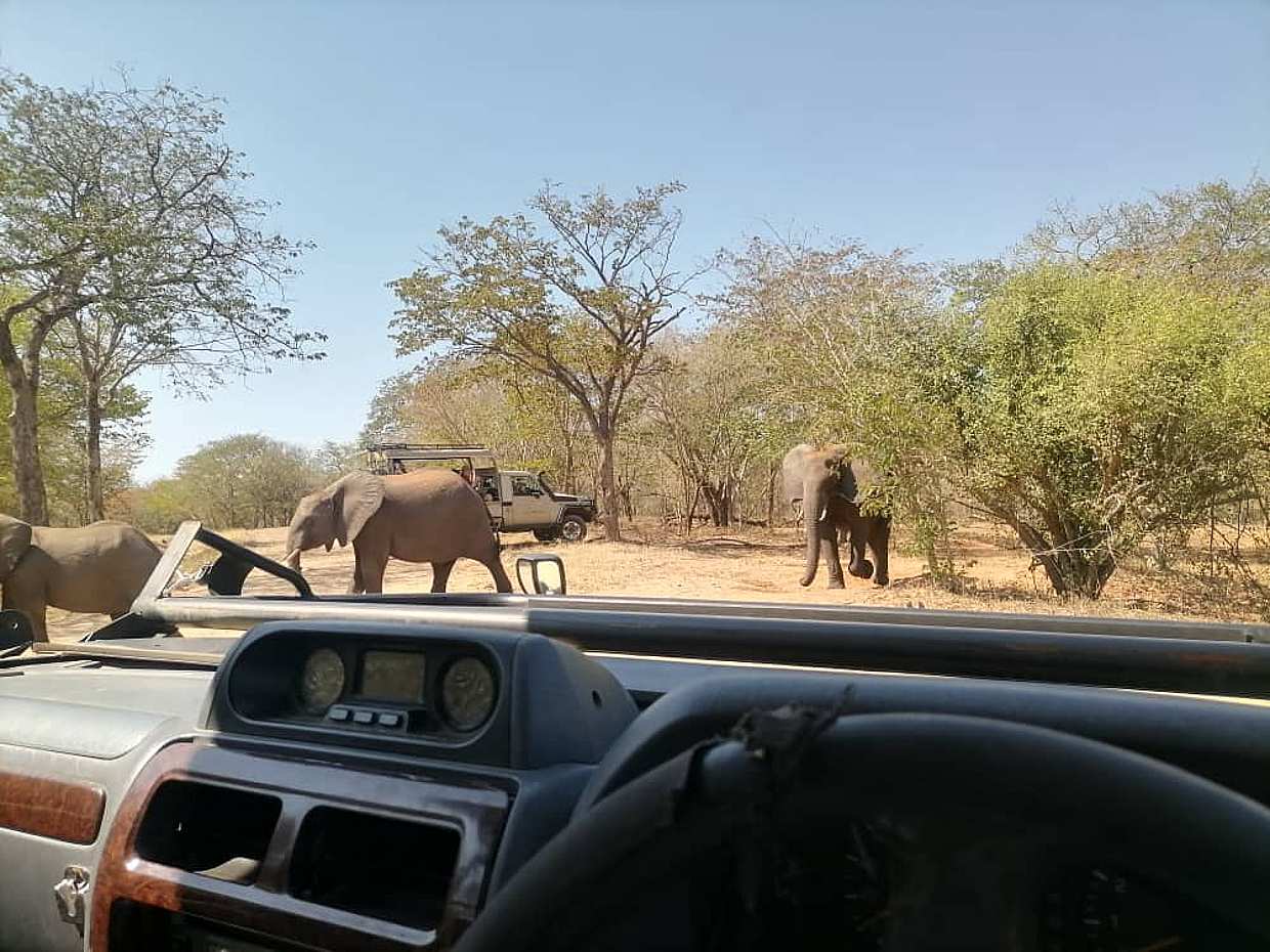 Halbtagesausflug nach Chobe in Sambia, Livingstone.