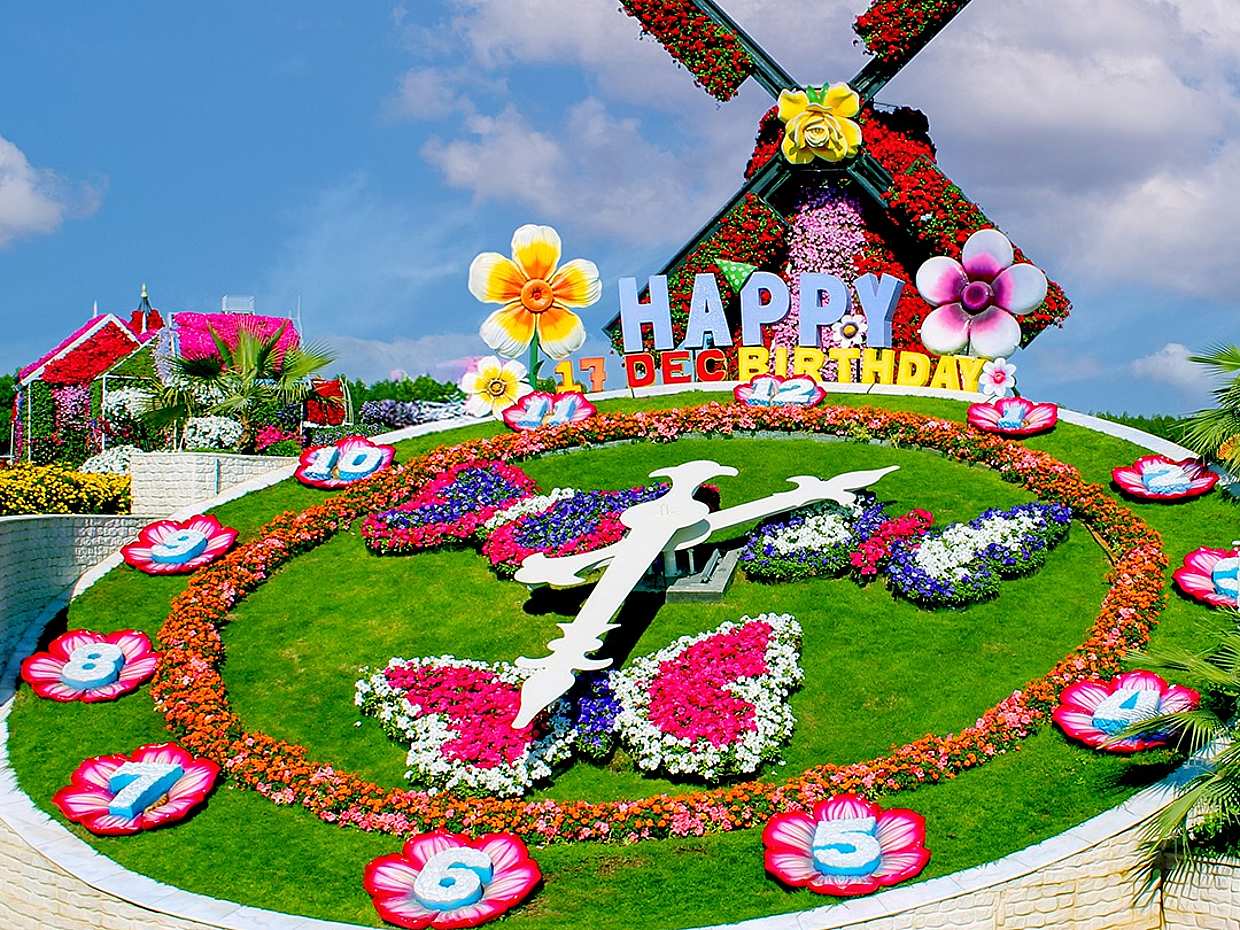 Miracle Garden Tour in United Arab Emirates, Dubai, photo 5
