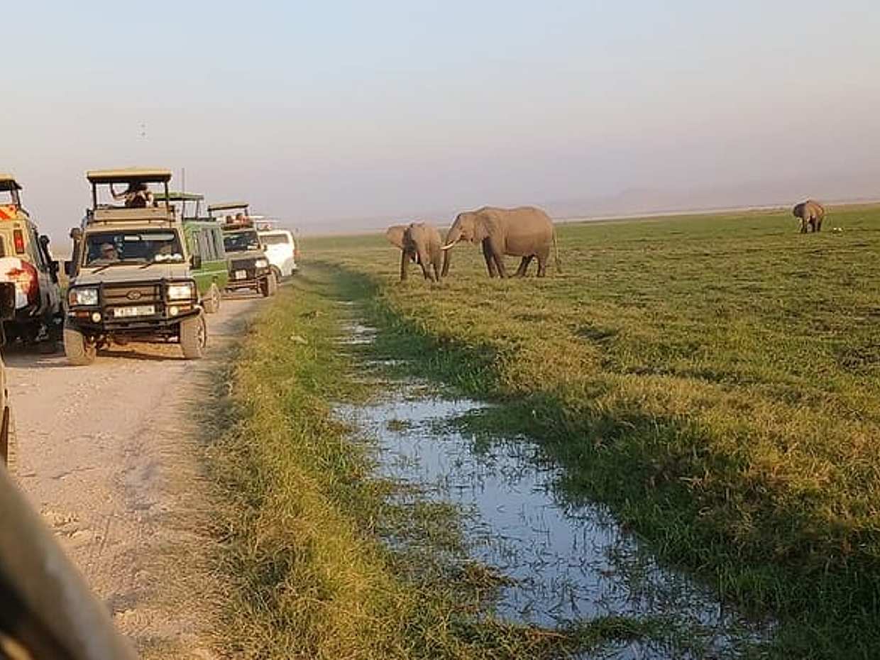 Two Days Guided Amboseli Tour in Kenya, Nairobi, photo 3