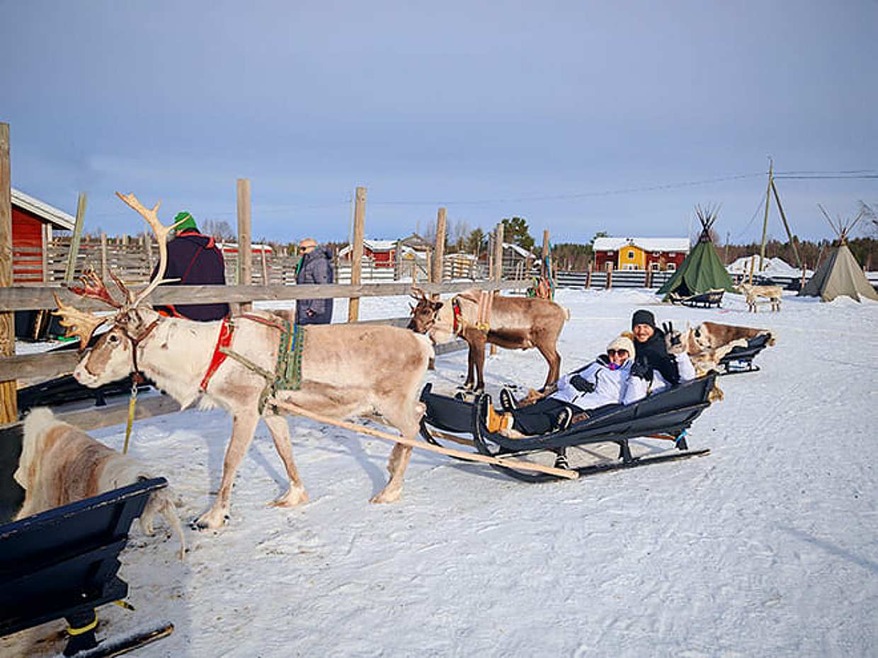 Super reindeer safari, photo 2